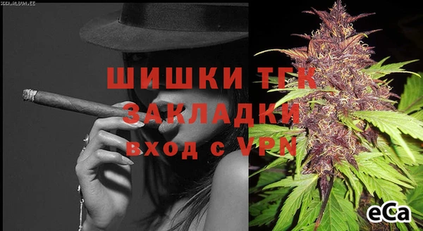 дживик Абинск