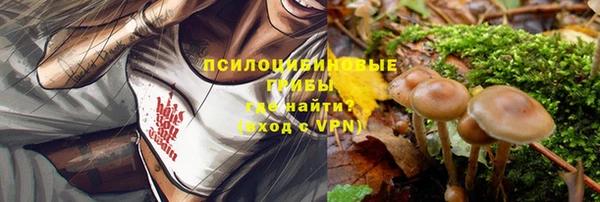 трава Абаза