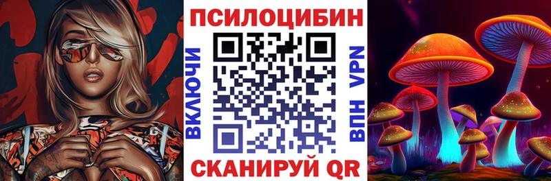 Псилоцибиновые грибы Cubensis  hydra ссылки  Сусуман  дарнет шоп 